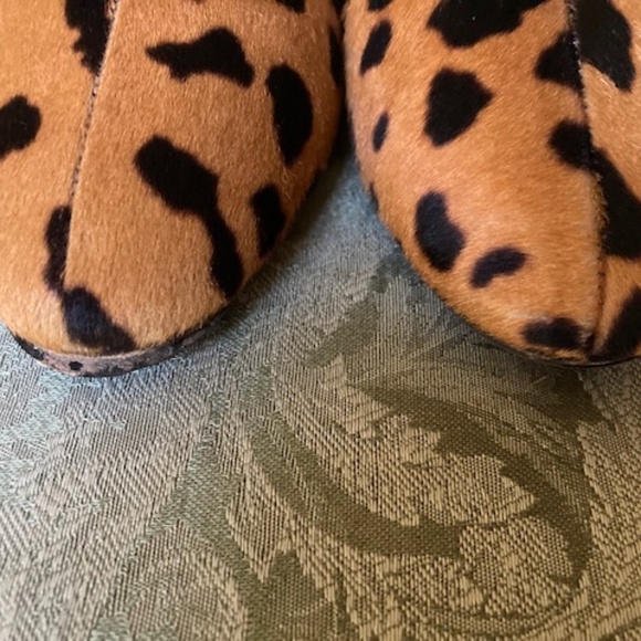 Charlotte Olympia Leopard Print Ankle Boots - Picture 7 of 10